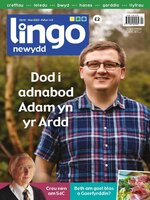 Lingo Newydd